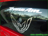 Firebird Pontiac Trans Am Vinyl Chrome Decals Stickers Emblems Any Colors