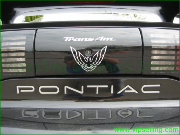 #transamfirebirdchrome #transamfirebirdchrome