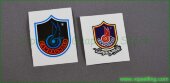 Campagnolo Frame Decals Stickers Emblems  Campagnolo Frame Decals Stickers Emblems