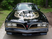 Pontiac Trans Am Hood Firebird Gold/Black Restoration Kit