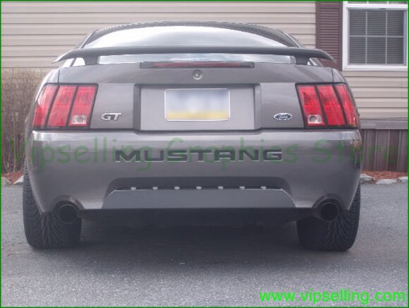 mustang_insert_style_1(photo3).jpg mustang_insert_style_1(photo3).jpg