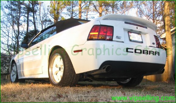 cobra_insert_style_1(photo2).jpg cobra_insert_style_1(photo2).jpg