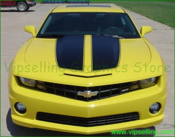 chevy_camaro_2010_style_1(photo_3).jpg