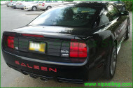 Ford Saleen 99-04 Mustang Rear Bumper Insert Decals Set Any Color Ford Saleen 99-04 Mustang Rear Bumper Insert Decals Set Any Color