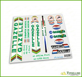 GAZELLE Green Restoration Decals Kit Campagnolo Stickers Vintage Set GAZELLE Green Restoration Decals Kit Campagnolo Stickers Vintage Set
